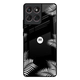 Zealand Fern Design Motorola Edge 60 Fusion 5G Glass Back Cover Online