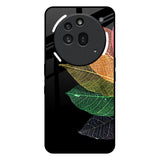 Colorful Leaves Nothing Phone 3a Pro Glass Back Cover Online