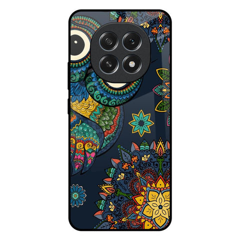 Owl Art Oppo F29 5G Glass Back Cover Online
