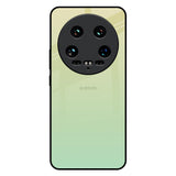 Mint Green Gradient Mi 14 Ultra 5G Glass Back Cover Online