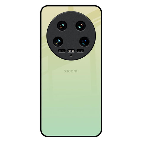 Mint Green Gradient Mi 14 Ultra 5G Glass Back Cover Online