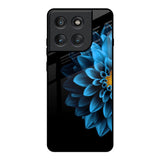 Half Blue Flower Motorola Edge 60 Pro Glass Back Cover Online