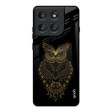 Golden Owl Motorola Edge 60 Pro Glass Back Cover Online