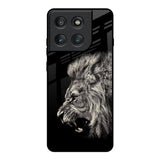 Brave Lion Motorola Edge 60 Pro Glass Back Cover Online