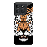 Angry Tiger Motorola Edge 60 Pro Glass Back Cover Online