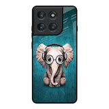 Adorable Baby Elephant Motorola Edge 60 Pro Glass Back Cover Online