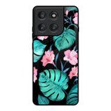 Tropical Leaves & Pink Flowers Motorola Edge 60 Pro Glass Back Cover Online