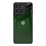 Deep Forest Motorola Edge 60 Pro Glass Back Cover Online