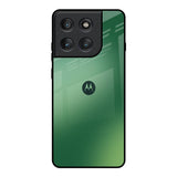 Green Grunge Texture Motorola Edge 60 Pro Glass Back Cover Online
