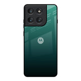 Palm Green Motorola Edge 60 Pro Glass Back Cover Online