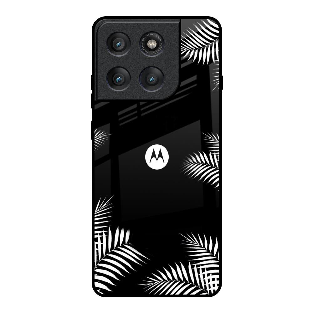 Zealand Fern Design Motorola Edge 60 Pro Glass Back Cover Online