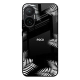 Zealand Fern Design Poco F7 5G Glass Back Cover Online