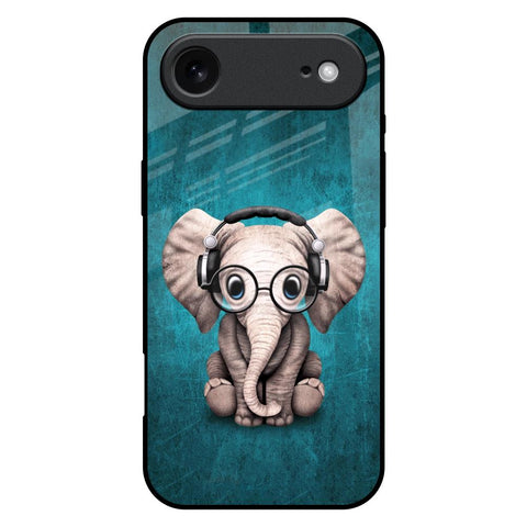 Adorable Baby Elephant iPhone 17 Air Glass Back Cover Online