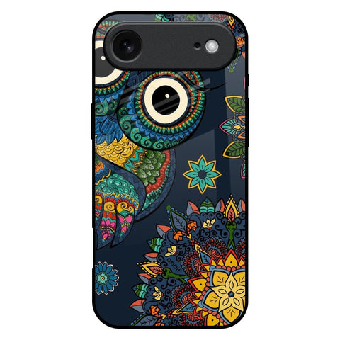 Owl Art iPhone 17 Air Glass Back Cover Online