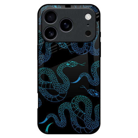 Serpentine iPhone 17 Pro Max Glass Back Cover Online