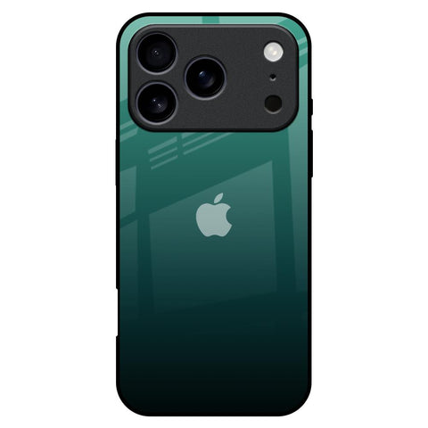 Palm Green iPhone 17 Pro Max Glass Back Cover Online