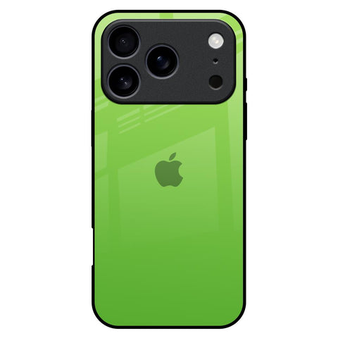 Paradise Green iPhone 17 Pro Max Glass Back Cover Online