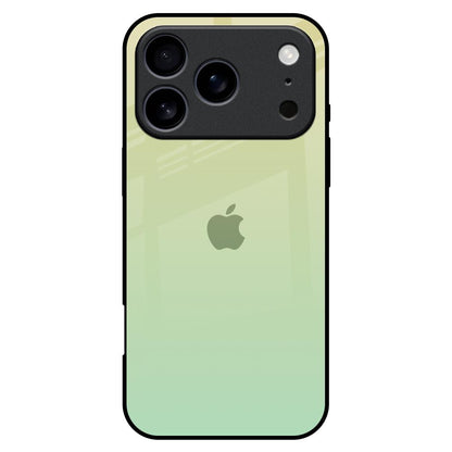 Mint Green Gradient iPhone 17 Pro Max Glass Back Cover Online