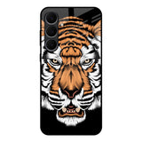 Angry Tiger Samsung Galaxy S25 FE 5G Glass Back Cover Online