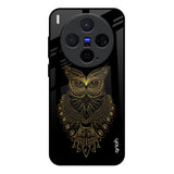Golden Owl Vivo X300 5G Glass Back Cover Online