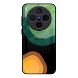 Grass N Sun Vivo X300 5G Glass Back Cover Online