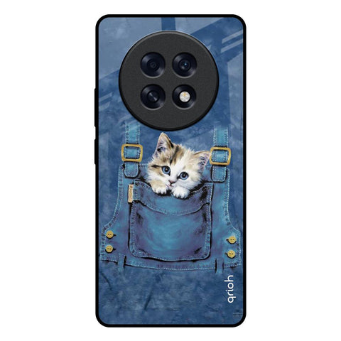 Kitty In Pocket Oppo F31 Pro Plus 5G Glass Back Cover Online