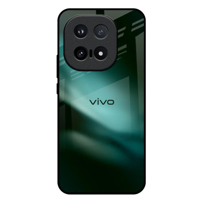 Northen Light IQOO 15 5G Glass Back Cover Online