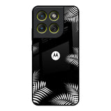 Zealand Fern Design Motorola Edge 70 5G Glass Back Cover Online