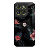 Tropical Art Flower Motorola Edge 70 5G Glass Back Cover Online