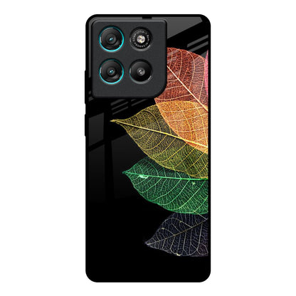 Colorful Leaves Motorola Edge G67 Power Glass Back Cover Online