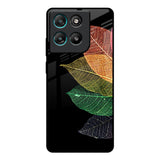 Colorful Leaves Motorola Edge G57 Power Glass Back Cover Online