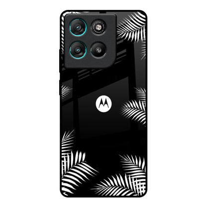 Zealand Fern Design Motorola Edge G57 Power Glass Back Cover Online