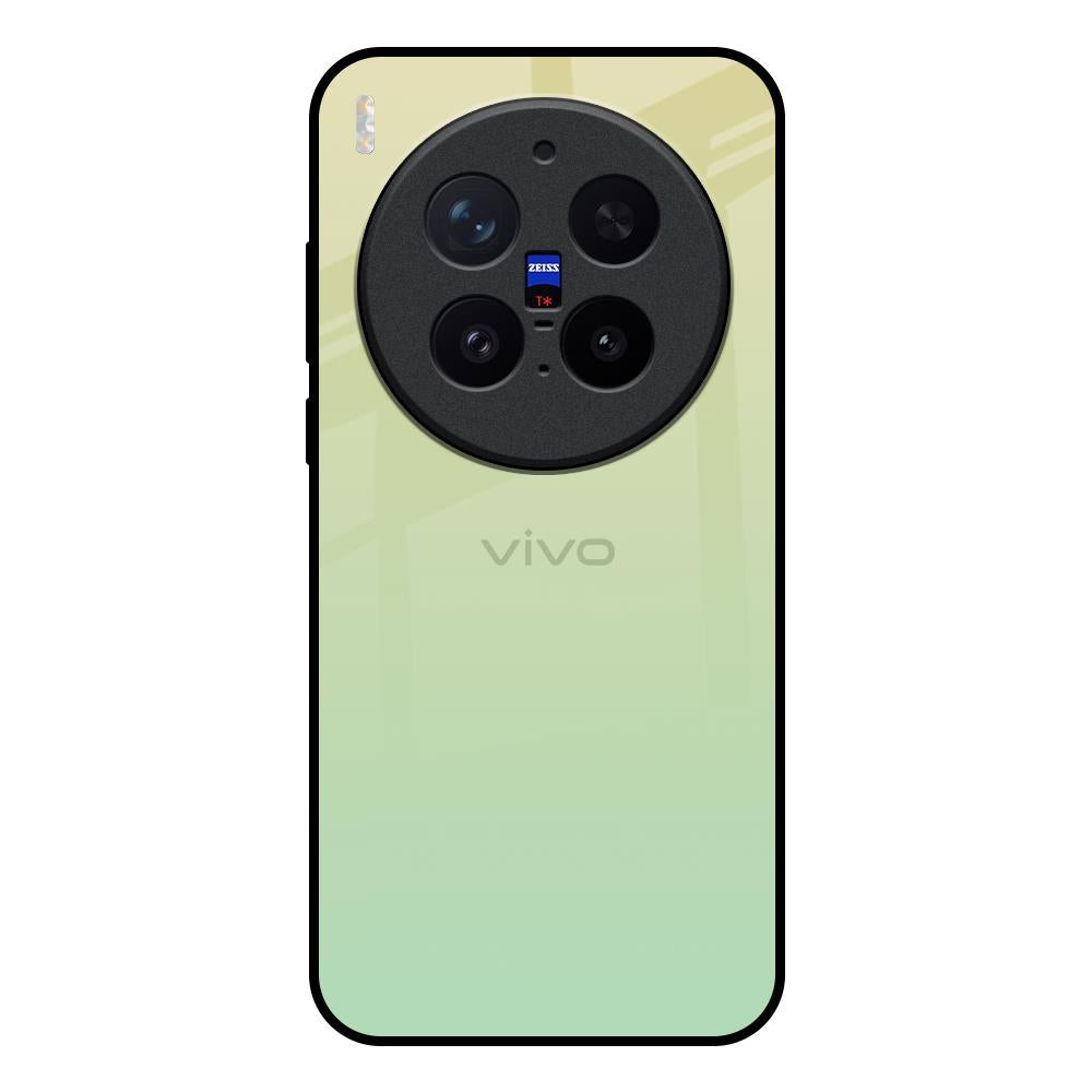 Mint Green Gradient Vivo X300 Pro 5G Glass Back Cover Online