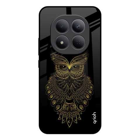 Golden Owl Redmi Note 15 Pro 5G Glass Back Cover Online