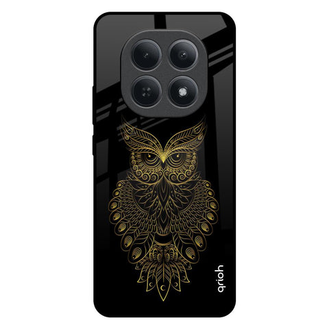 Golden Owl Redmi Note 15 5G Glass Back Cover Online