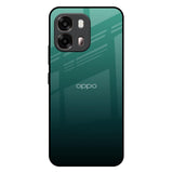 Palm Green Oppo A6 Pro 5G Glass Back Cover Online