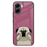 Funny Pug Face Oppo A6x 5G Glass Back Cover Online