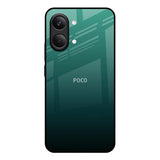 Palm Green Poco X8 Pro max 5G Glass Back Cover Online