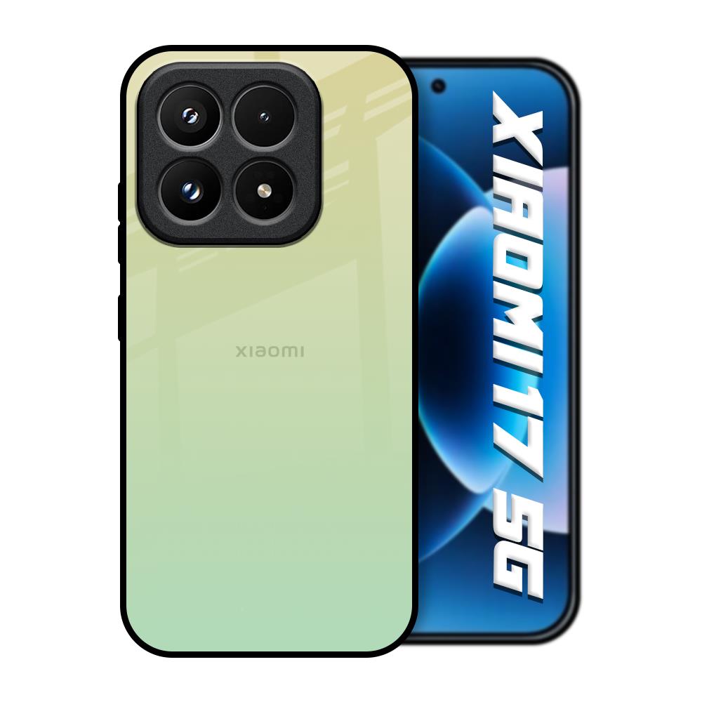 Mint Green Gradient Xiaomi 17 5G Glass Back Cover Online