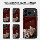 Sleepy Tiger Glass Case