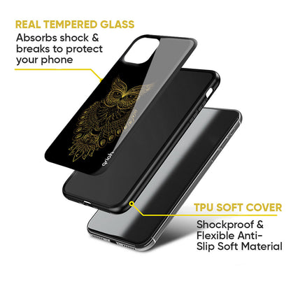 Golden Owl Glass Case for Google Pixel 9 Pro