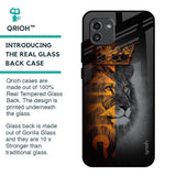 King Of Forest Glass Case for Samsung Galaxy A03