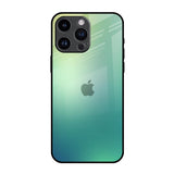 Dusty Green Glass Case for iPhone 14 Pro Max