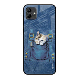 Kitty In Pocket Samsung Galaxy A04 Glass Back Cover Online