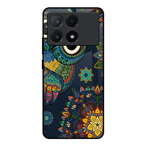Owl Art Poco X6 Pro 5G Glass Back Cover Online