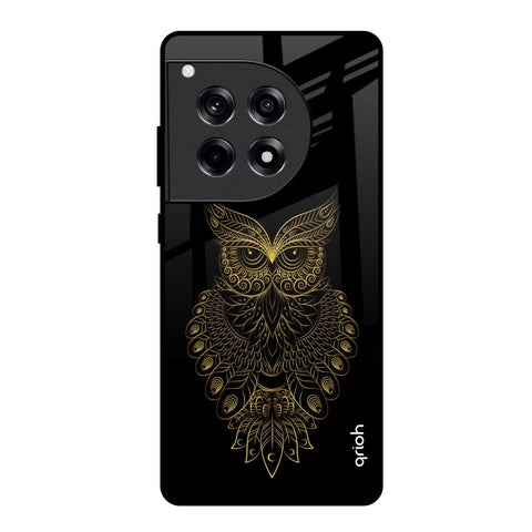 Golden Owl OnePlus 12R 5G Glass Back Cover Online