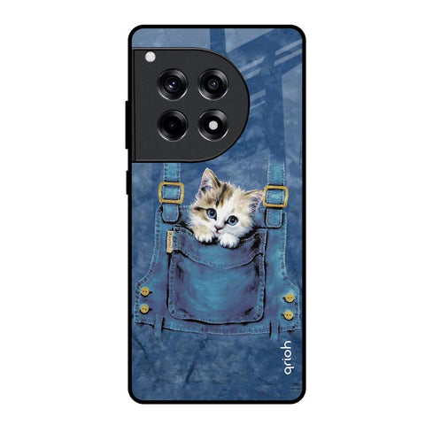 Kitty In Pocket OnePlus 12R 5G Glass Back Cover Online