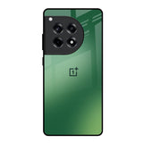 Green Grunge Texture OnePlus 12R 5G Glass Back Cover Online