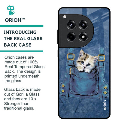 Kitty In Pocket Glass Case For OnePlus 12R 5G