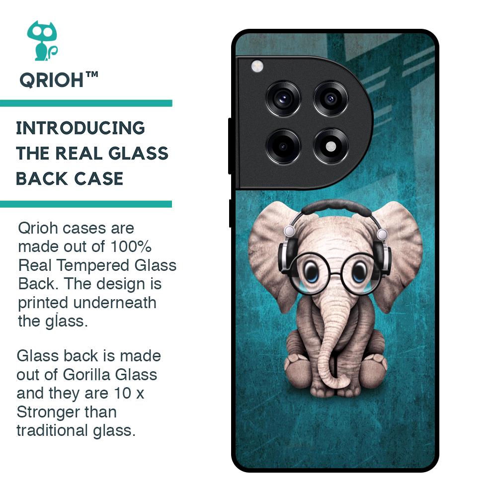 Adorable Baby Elephant Glass Case For OnePlus 12R 5G